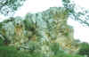 dia-292.jpg (95793 Byte)